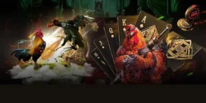 Bí Quyết Chơi Đá Gà GA28 Tại OnBet Từ Các Chuyên Gia Hàng Đầu